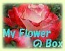 My Flower  Box@gbv