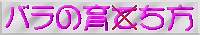 バラの育ち方